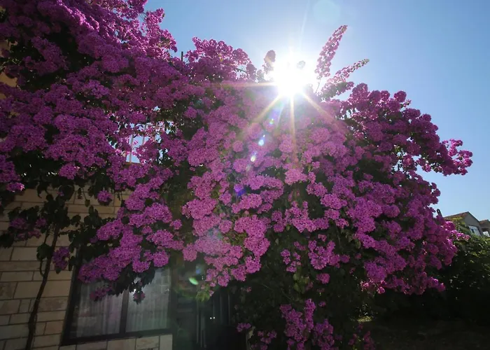 Apartamento Michelle *